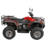 Quads/ATV's - Quad/ATV 300cc Pioneer EEC  - 300cc - 205